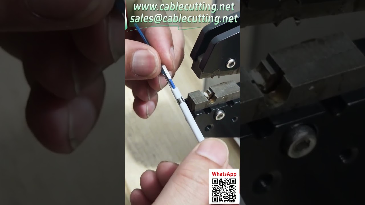 Custom Mold Small Wing Special Terminal Crimping Machine