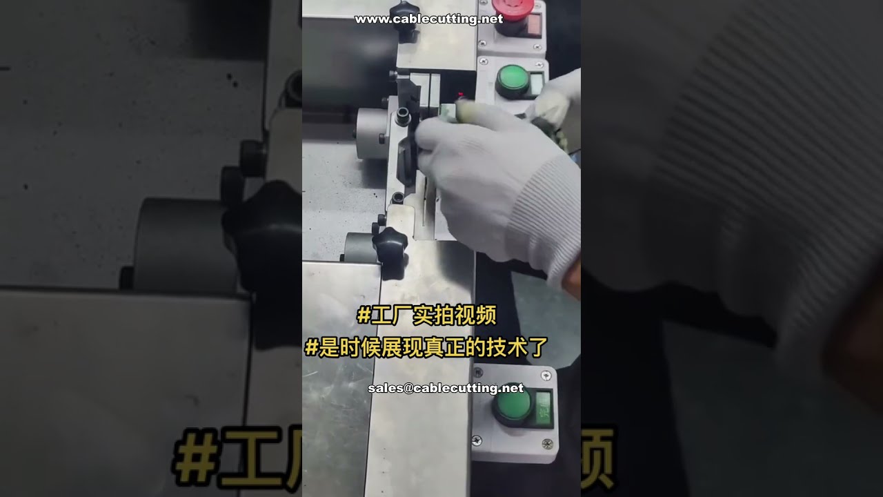 Live Demo Automatic Carbon Brush Assembly Machine | Factory Automation