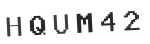 Verification Code Image